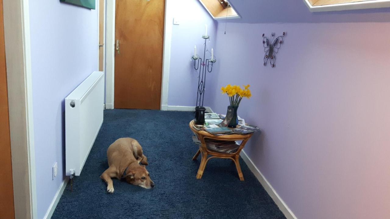 블래어고리 The Stables,Kirkmichael B&B 외부 사진
